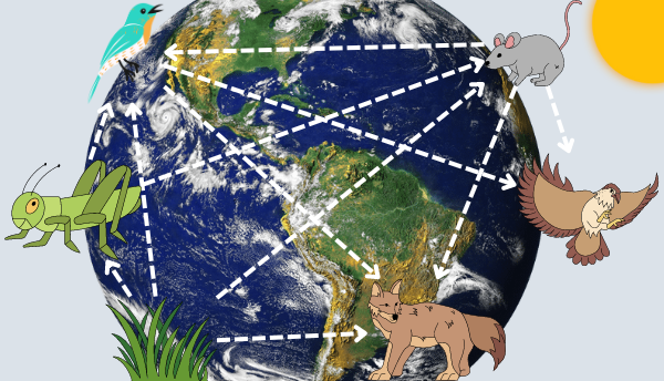 A cartoon of a food web in front of planet Earth with the Sun in the corner of the image.