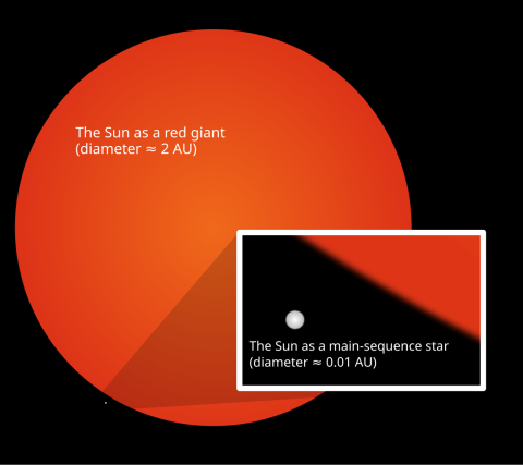 A large orange circle takes up most of the space in the image against a black background. This circle is labelled "The Sun as a red giant (diameter ≈ 2 AU)". A barely visible dot is in the lower left corner. A zoomed in view is seen in a rectangle which partly covers the orange circle. In this, the white dot is slightly larger and has the label "The Sun as a main-sequence star (diameter ≈ 0.01 AU)".