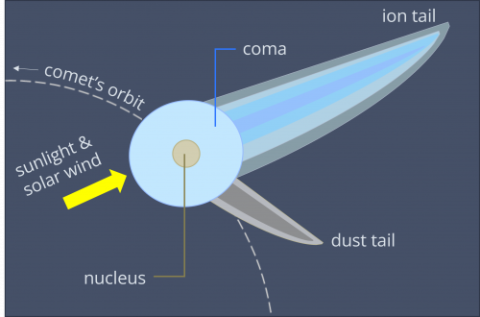 Diagram of a comet showing its structure with labels: nucleus, coma, dust tail, and ion tail. The sunlight and solar wind direction are indicated by an arrow, influencing the direction of the tails. The comet's orbit is represented by a dashed line