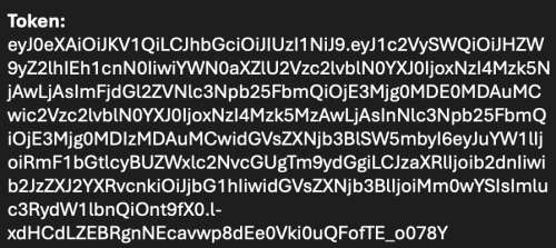 A screenshot of some text. The word "Token:" is at the top left, and underneath is a long chain of random numbers and letters spanning several rows.