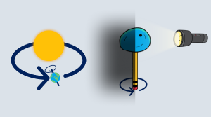 A diagram of the Earth rotating around its axis and orbiting the Sun. A torch shining on a model of the Earth. The model is stuck onto a pencil that is spinning.