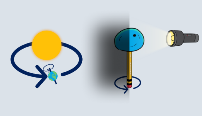 A diagram of the Earth rotating around its axis and orbiting the Sun. A torch shining on a model of the Earth. The model is stuck onto a pencil that is spinning.